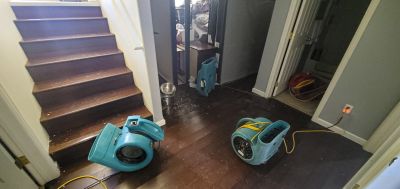 Wood Floor Restoration