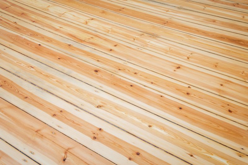 Wood Floor Restoration